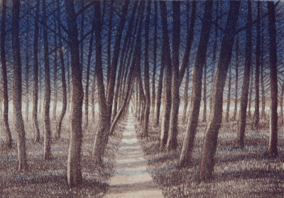Metsäpolku (1993)